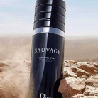 Sauvage Very Cool Spray
